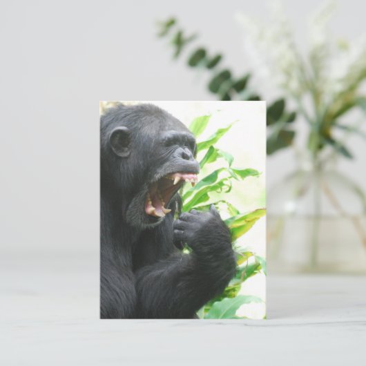 Chimp Fangs Briefkaart (Staand voorkant)