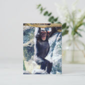 chimp hangen briefkaart (Staand voorkant)