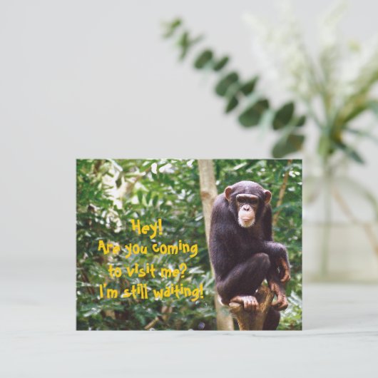 Chimp Humor Briefkaart (Staand voorkant)