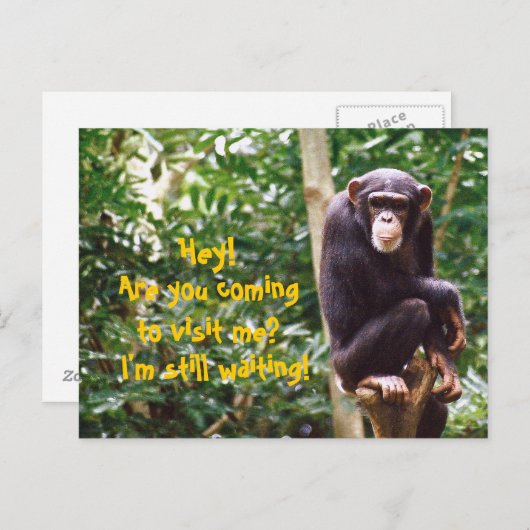 Chimp Humor Briefkaart (Voorkant / Achterkant)