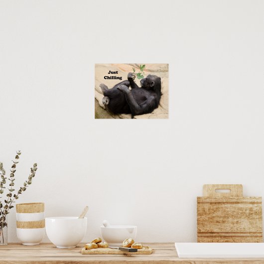 Chimp is gewoon koelen poster (Keuken)