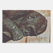 CHIMP-KUNST INPAKPAPIER VEL (Voorkant 3)