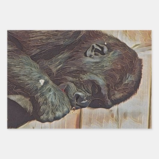 CHIMP-KUNST INPAKPAPIER VEL (Voorkant)