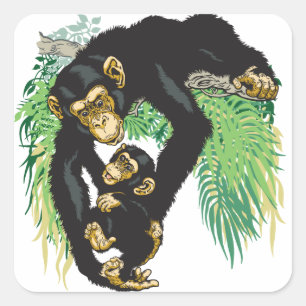 chimp met baby vierkante sticker