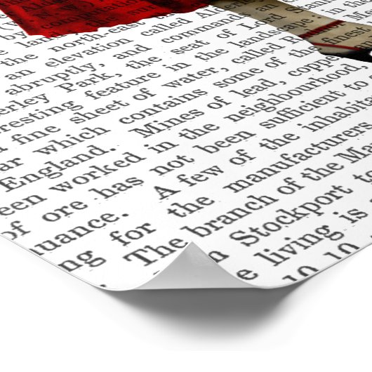 Chimp met wijn poster (Hoek)