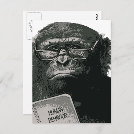 Chimp Reading Briefkaart (Voorkant / Achterkant)