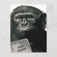 Chimp Reading