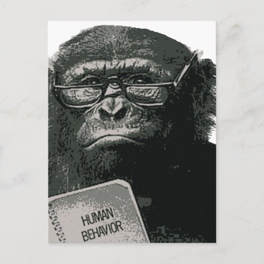 Chimp Reading Briefkaart (Voorkant)