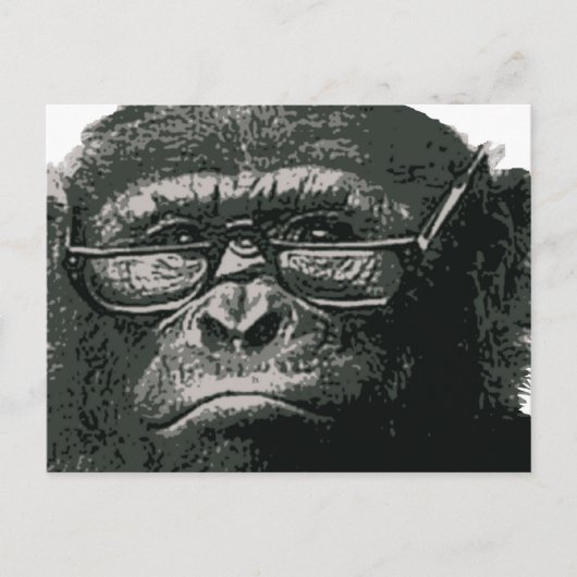 Chimp Reading Briefkaart (Voorkant)