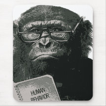 Chimp Reading
