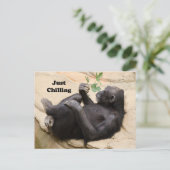 Chimp Relaxing Briefkaart (Staand voorkant)