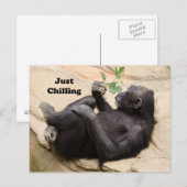 Chimp Relaxing Briefkaart (Voorkant / Achterkant)