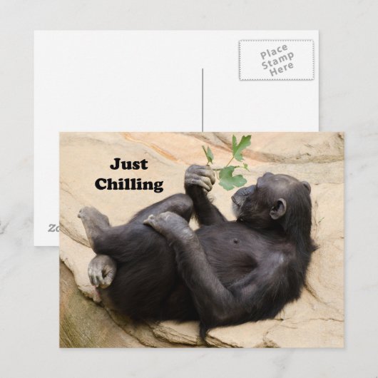 Chimp Relaxing Briefkaart (Voorkant / Achterkant)