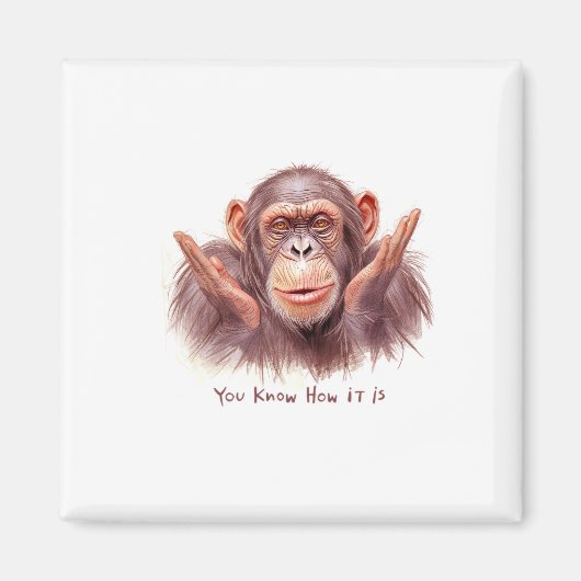Chimp vertelt je: "Je weet hoe het is" Magneet (Voorkant)