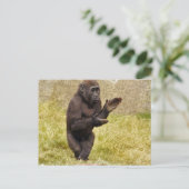 ChimpanseBriefkaart Briefkaart (Staand voorkant)