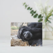 ChimpanseBriefkaart Briefkaart (Staand voorkant)