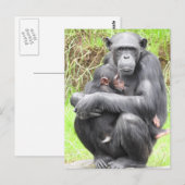 ChimpanseBriefkaart Briefkaart (Voorkant / Achterkant)