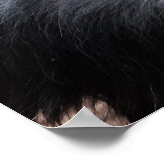 Chimpansedenken Poster (Hoek)