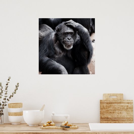Chimpansedenken Poster (Keuken)