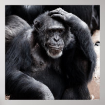 Chimpansedenken