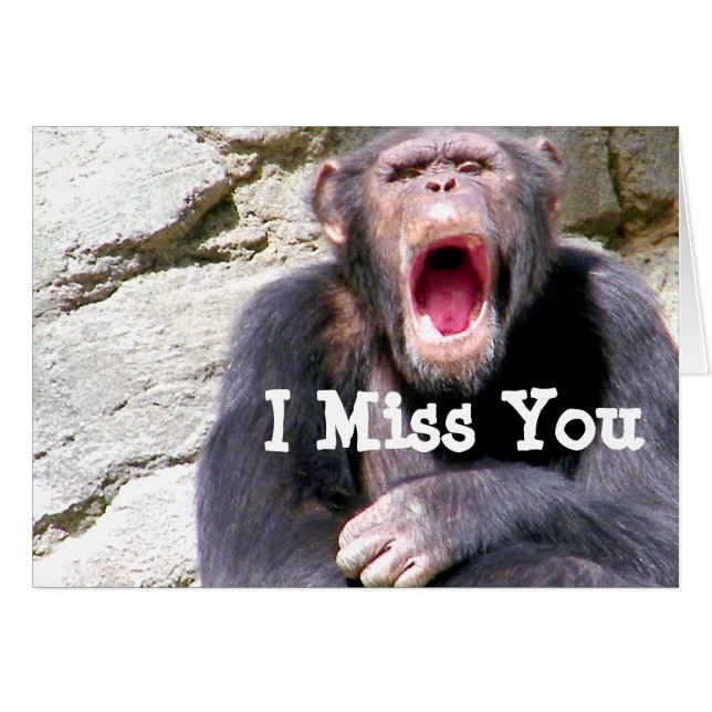 Chimpansee_ (Voorkant Horizontaal)