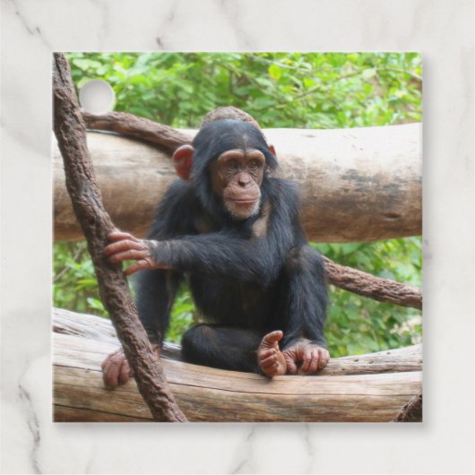 Chimpansee 001 bedankjes labels (Voorkant)