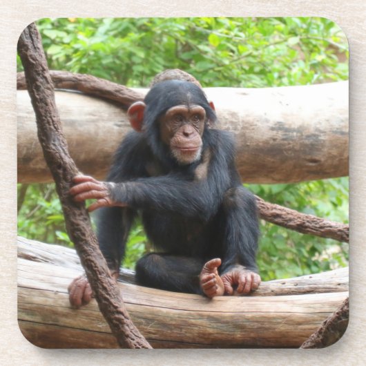 Chimpansee 001 bier onderzetter (Voorkant)