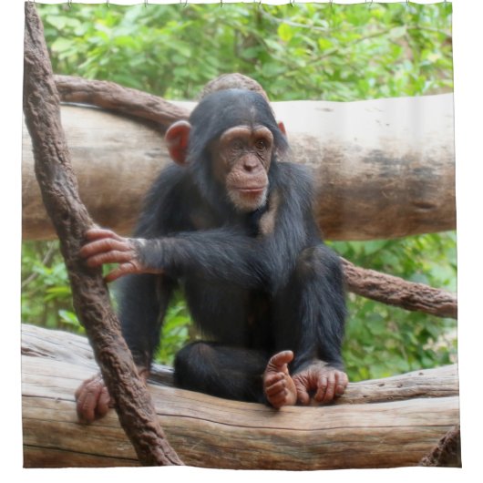 Chimpansee 001 douchegordijn (Voorkant)