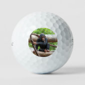 Chimpansee 001 golfballen (Voorkant)