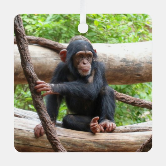 Chimpansee 001 metalen ornament (Voorkant)