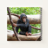 Chimpansee 001 notitieboek (Achterkant)