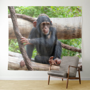 Chimpansee 001 wandkleed