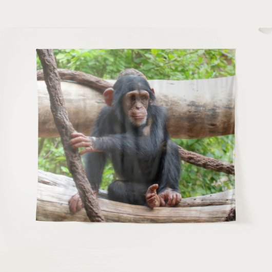 Chimpansee 001 wandkleed (Voorkant (horizontaal))