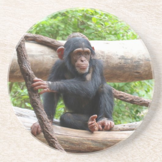 Chimpansee 001 zandsteen onderzetter (Voorkant)