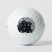 Chimpansee 002 golfballen (Voorkant)