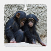 Chimpansee 002 metalen ornament (Voorkant)