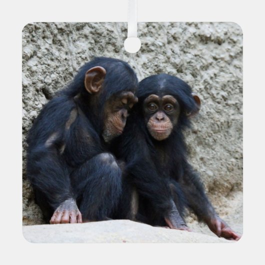 Chimpansee 002 metalen ornament (Voorkant)