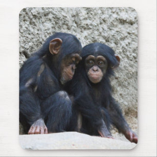 Chimpansee 002 muismat