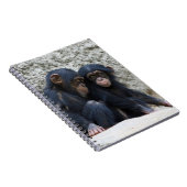 Chimpansee 002 notitieboek (Rechterzijde)