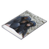 Chimpansee 002 notitieboek (Linkerzijde)