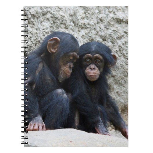 Chimpansee 002 notitieboek (Voorkant)