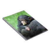 Chimpansee 005 notitieboek (Rechterzijde)