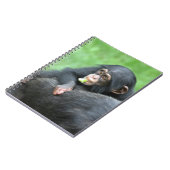 Chimpansee 005 notitieboek (Linkerzijde)