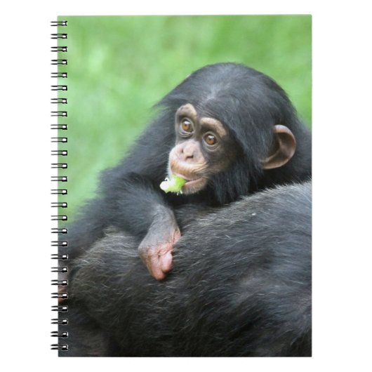 Chimpansee 005 notitieboek (Voorkant)