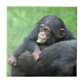 Chimpansee 005 tegeltje (Voorkant)