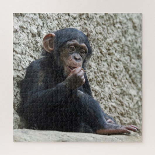 Chimpansee 013 legpuzzel (Verticaal)
