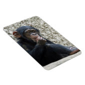 Chimpansee 013 magneet (Rechterzijde)