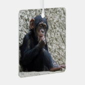 Chimpansee 013 metalen ornament (Voorkant Rechts)