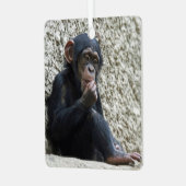 Chimpansee 013 metalen ornament (Voorkant links)