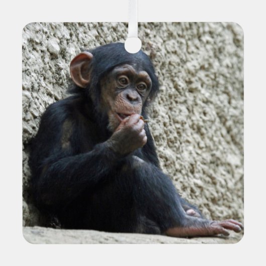 Chimpansee 013 metalen ornament (Voorkant)